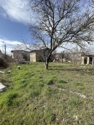 Дача на Волне фото 6 Дача на Волне фото 6